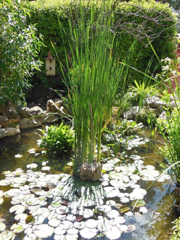 O Doux S'Home Ledenon Ngoại thất bức ảnh
